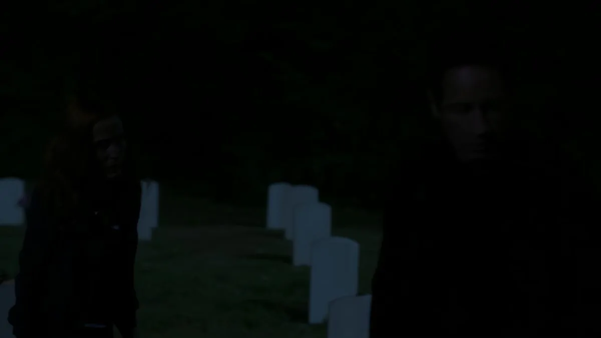 Фото галереи #6