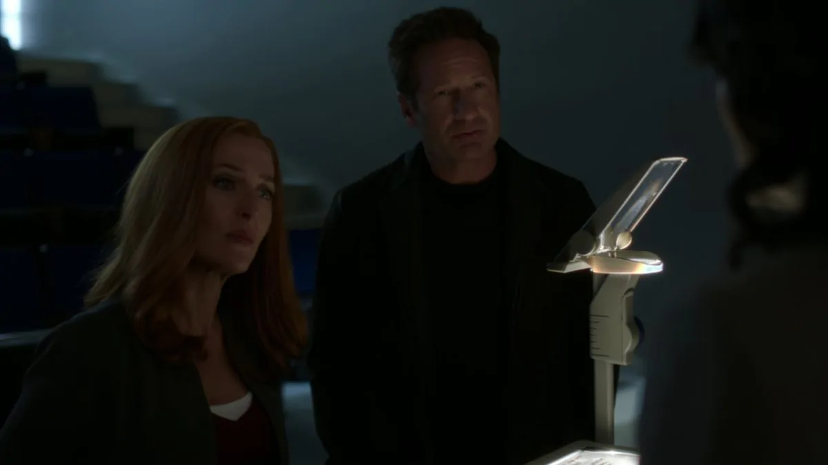 Фото галереи #7