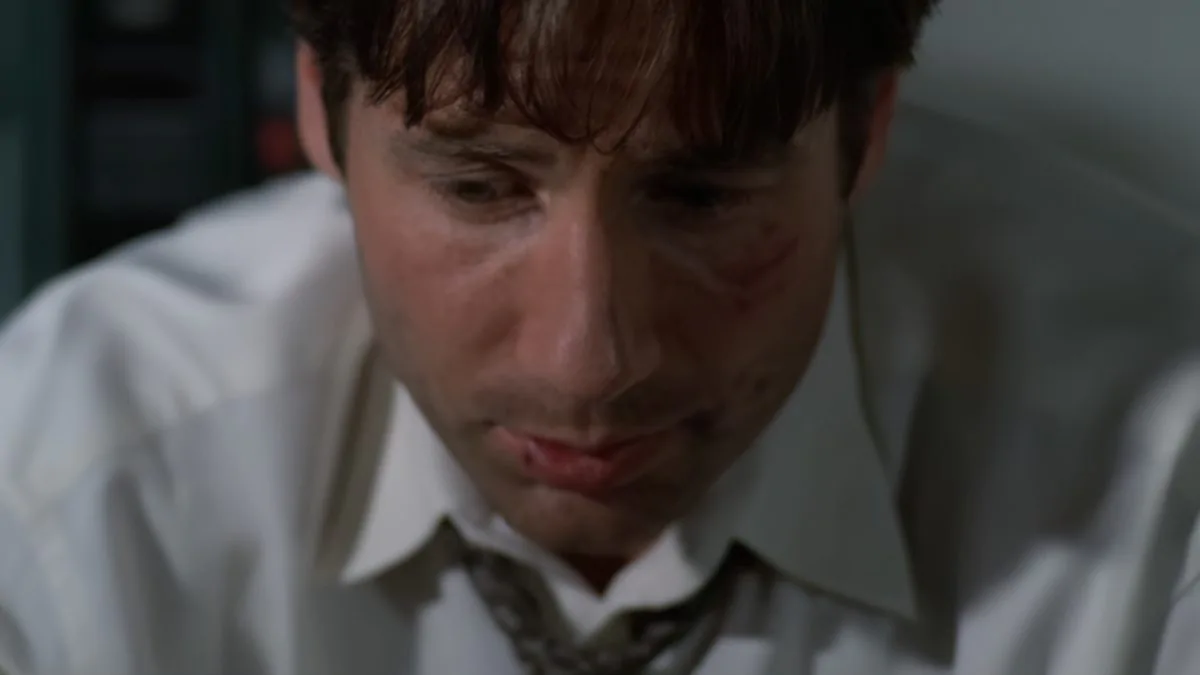 Фото галереи #4