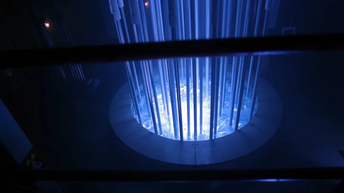 Фото галереи #4