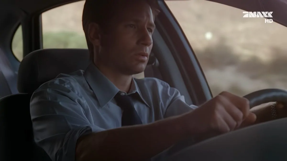 Фото галереи #5