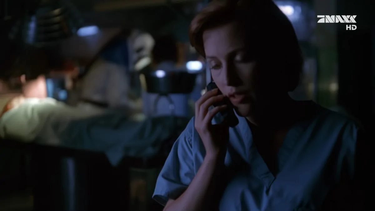 Фото галереи #6