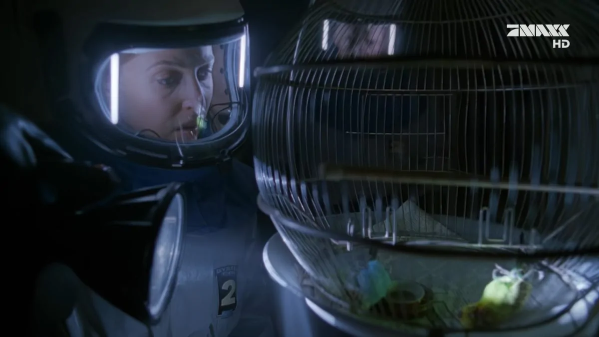 Фото галереи #7