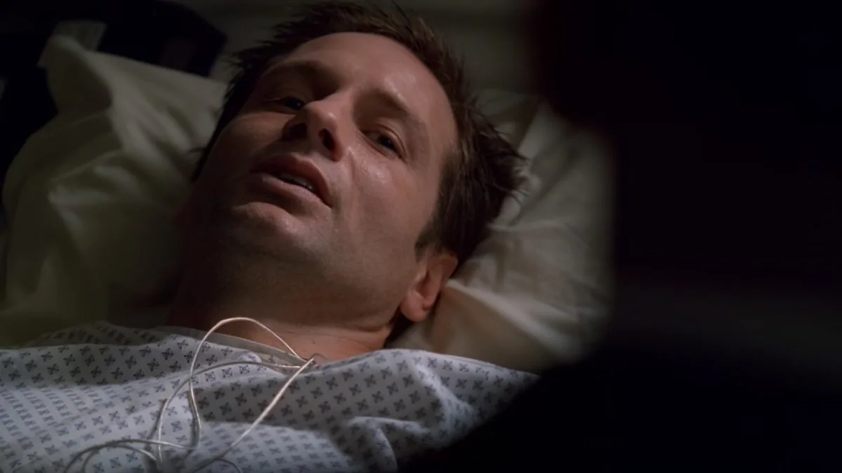 Фото галереи #3