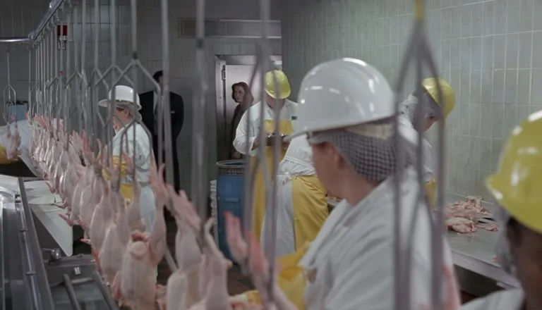 Момент из 24 серии 2 сезона